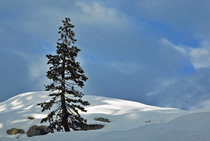 Lone Pine - Donner Summit, CA