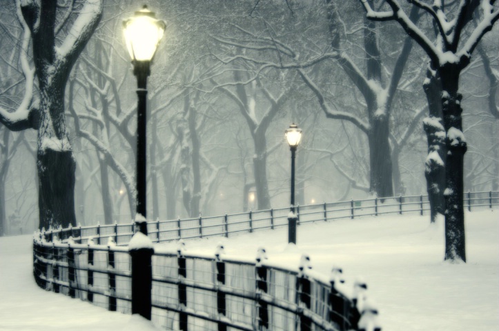 snowfall in Central Park