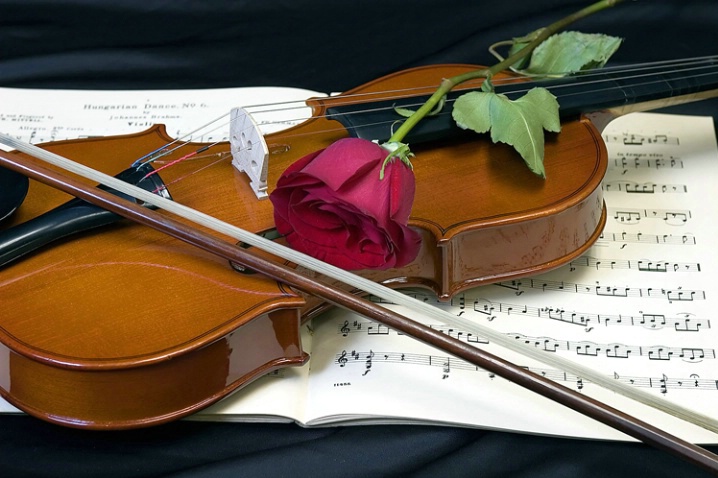 Joy of Romance