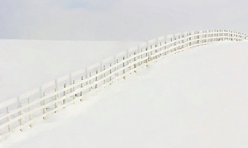 The White Fence