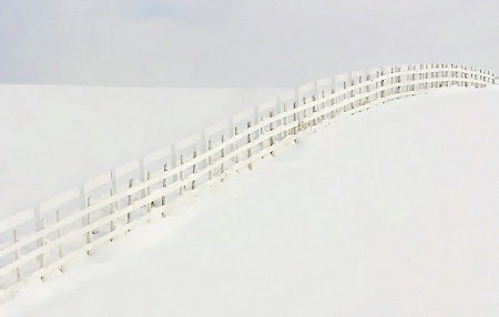 The White Fence