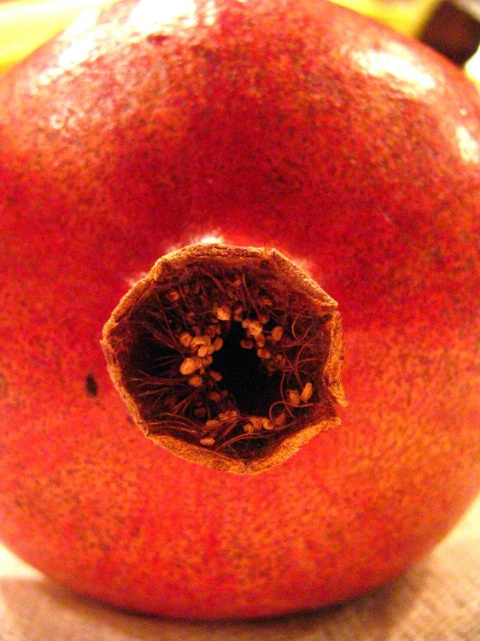 Pomegranite