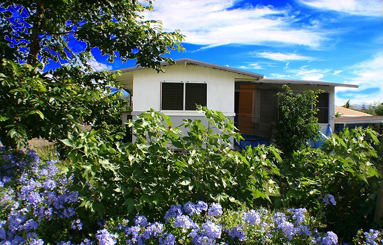 Little House In Flowers