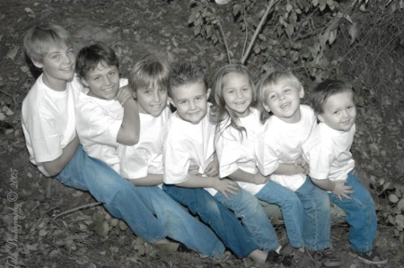 Seven Little Angles Sitting On A Tree