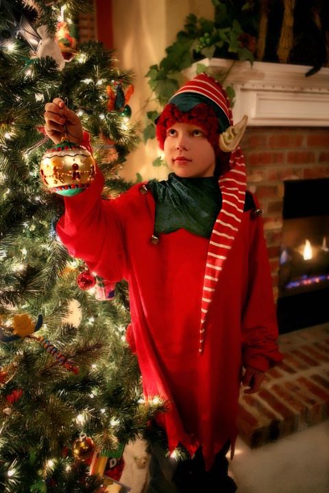A Christmas Elf Visit