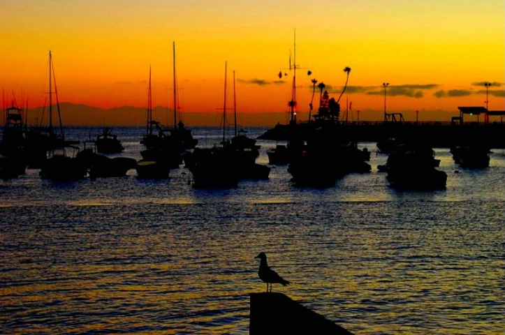 Sunrise On The Bay