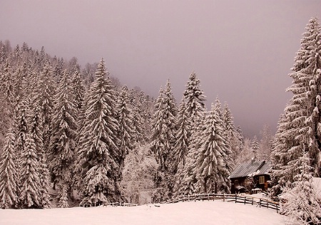 winter scene (Arieseni, Romania)