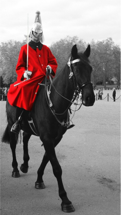 Changing of the Horse Guard