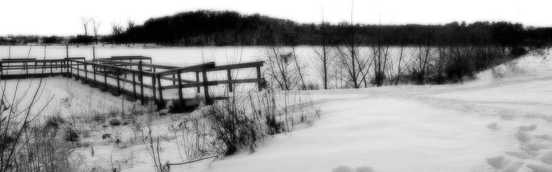 Winter on Bush Lake