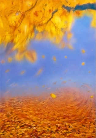 Autumn Impression