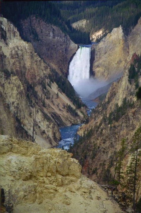 Yellowstone National Park - ID: 1577972 © Deborah A. Prior