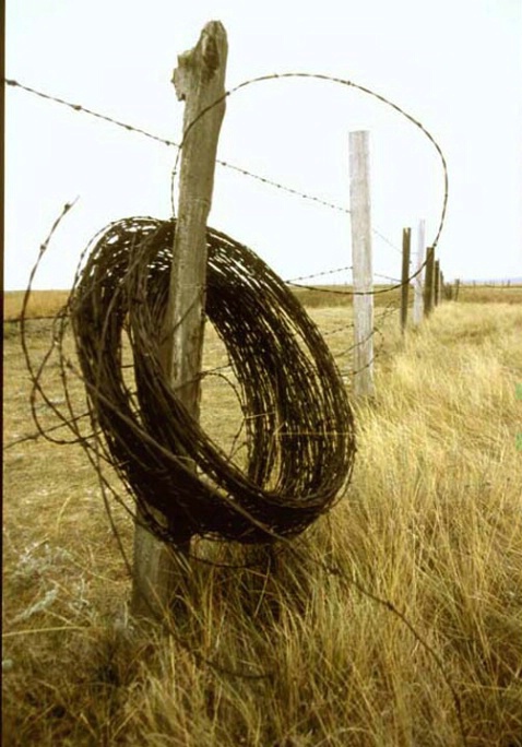 Barbed wire fence - ID: 1577990 © Heather Robertson