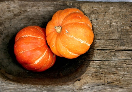 Pumpkin and wood