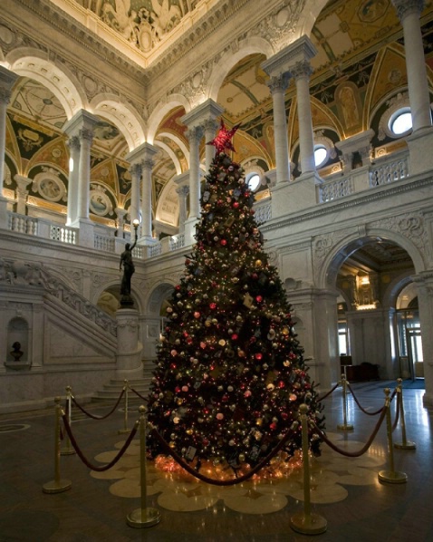 Christmas in The Great Hall - ID: 1581122 © Marilyn S. Neel