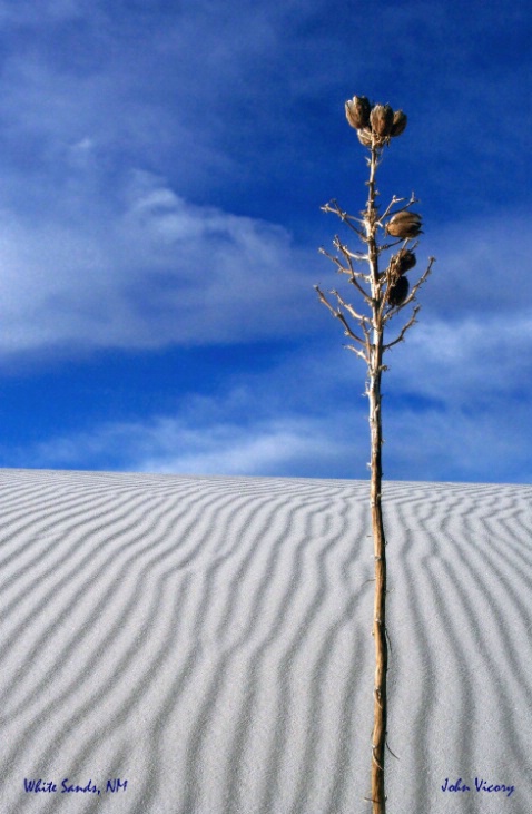White Sands, NM 3