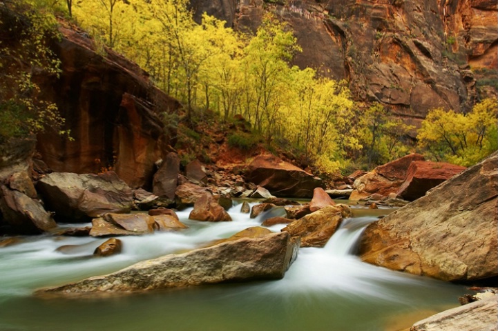 Zion - Fall Colors along the Virgin River