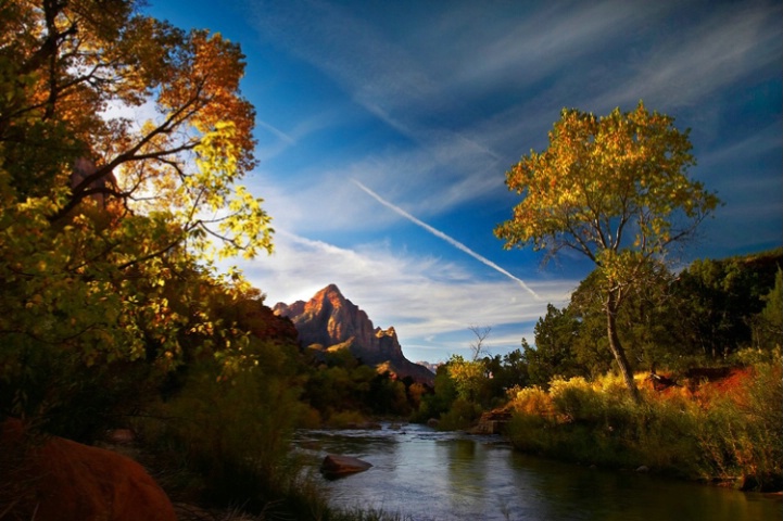 Zion National Park Fall Colors #26