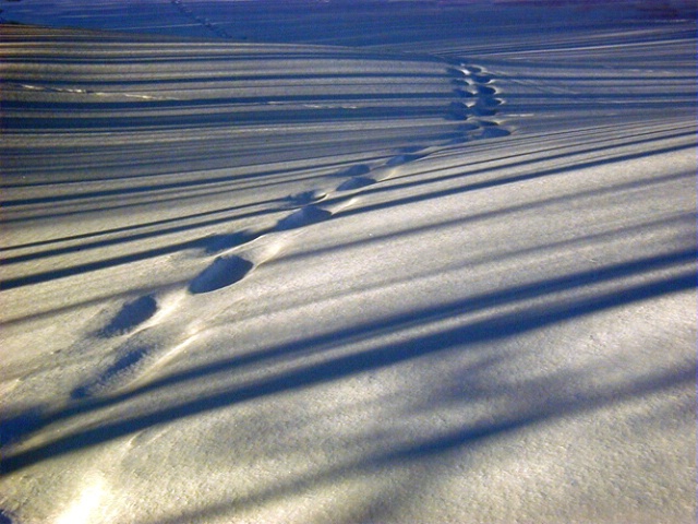 Footshadows