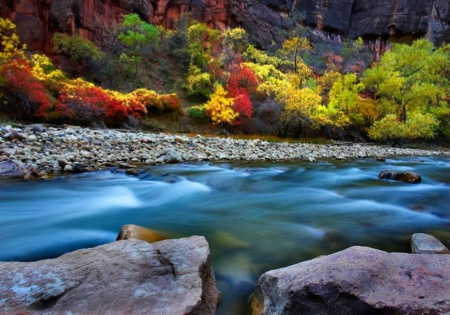 River of Color