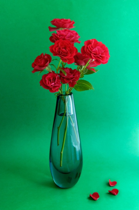 Red Roses