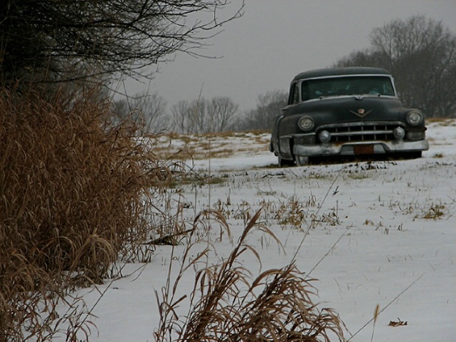 Put Out to Pasture