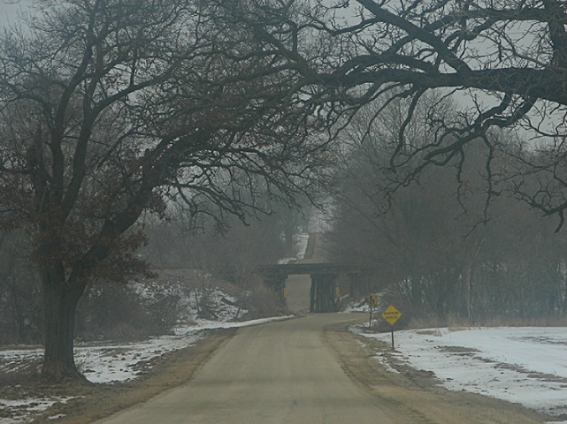 Winter Fog