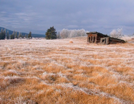 Harness Sheds in Hoar Frost