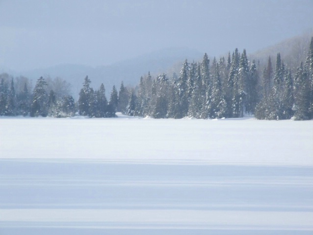 Winter softness - ID: 1593794 © Jean-Raymond Dufresne