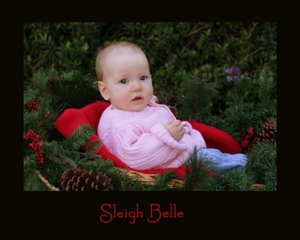 Sleigh Belle