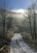 Foggy Mountain