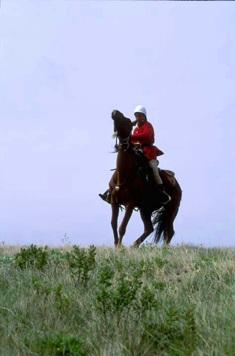 Horse and rider verticle - ID: 1599960 © Heather Robertson