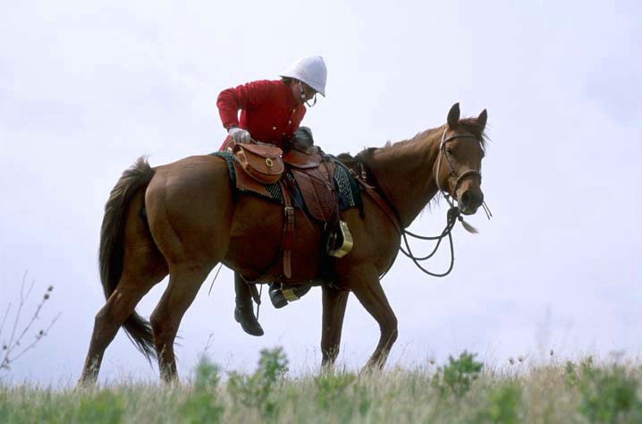 Rider mounting moving horse - ID: 1599963 © Heather Robertson