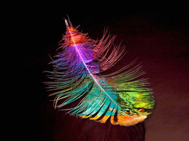 Glass Feather