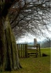 Country Walk Stil...