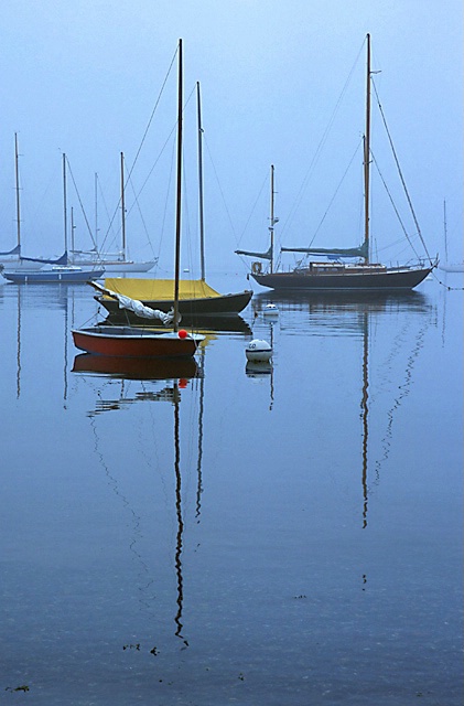 Sailboats at Castine, Maine