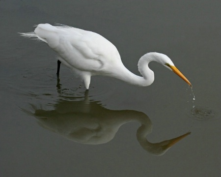 Quiet Reflection