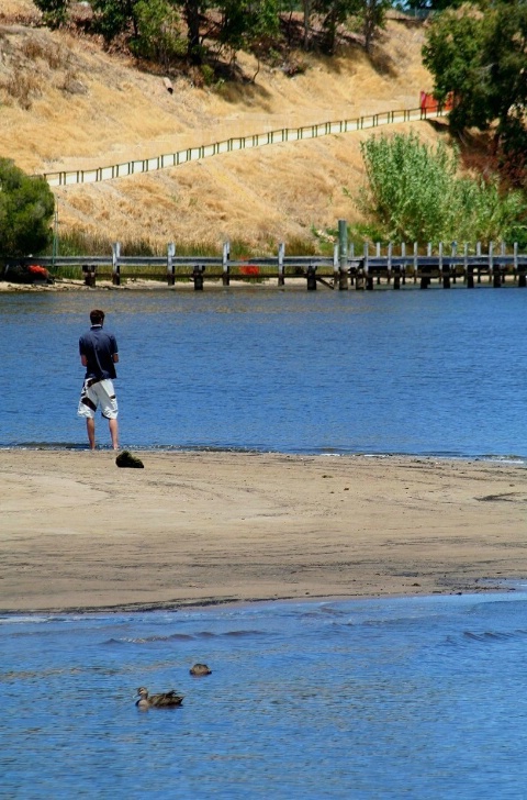 A  lone  Fisherman
