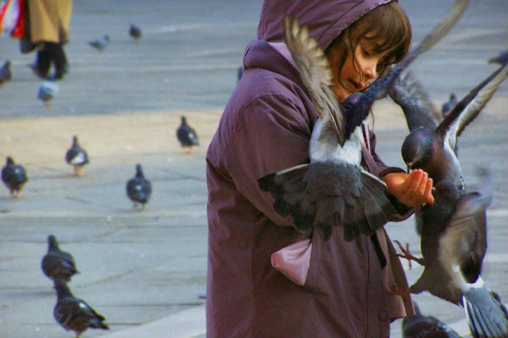 San Marco Square, Venice- girl with pigeons