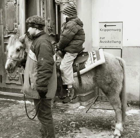 Switzerland pony ride