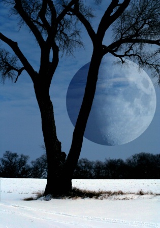 Winter Moonscape