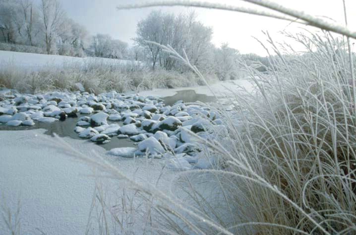 Creek in winter - ID: 1613422 © Heather Robertson