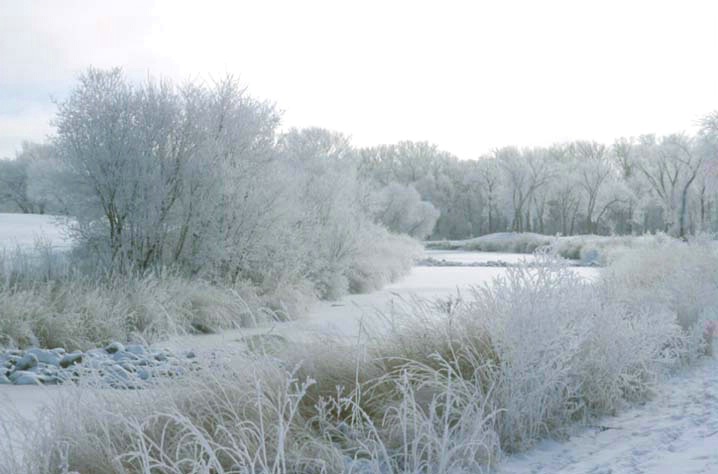 Creek during winter frost