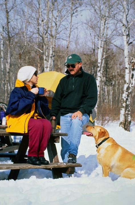 Winter camping with dog - ID: 1613425 © Heather Robertson