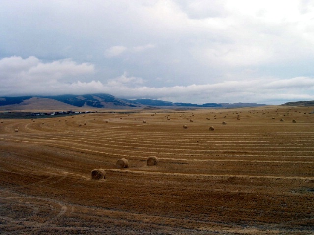 Montana hay - ID: 1613751 © Karen J. Glenn