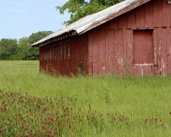 Red Barn Red Flowers