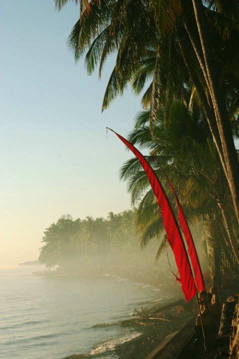 Peace Flags