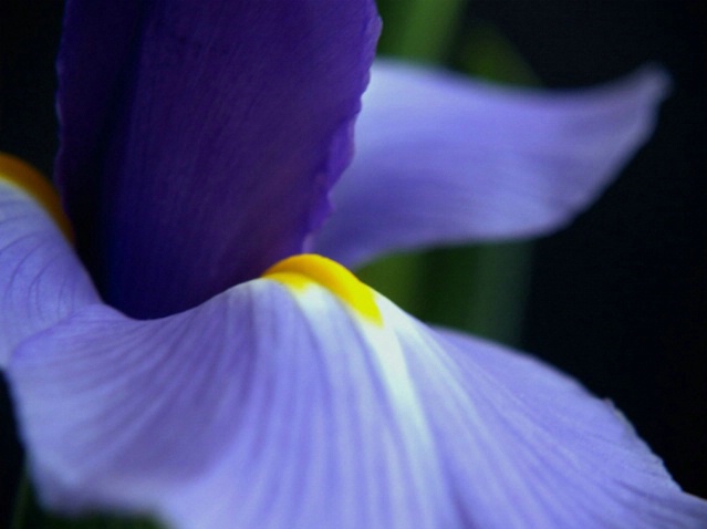  - ID: 1618147 © Michèle J. Thomas