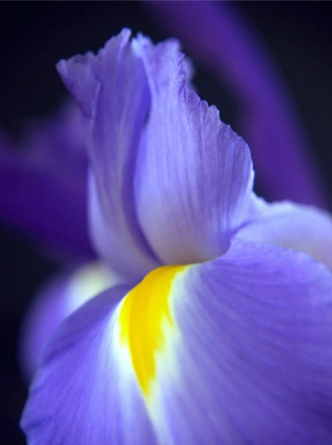  - ID: 1618148 © Michèle J. Thomas