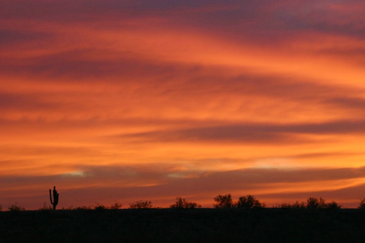 Last Sunrise of 2005 - ID: 1621022 © Patricia A. Casey