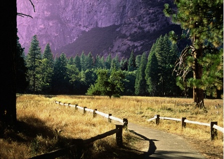 Yosemite valley trail